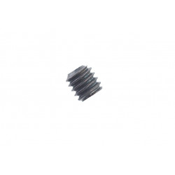 Systema motor pinion gear screw for PTW motor - 