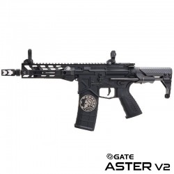 RWA Battle Arms Development SBR AEG