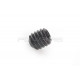 Systema Grip End Cap Screw for PTW - 