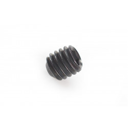 Systema Grip End Cap Screw for PTW