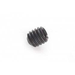 Systema Grip End Cap Screw for PTW - 