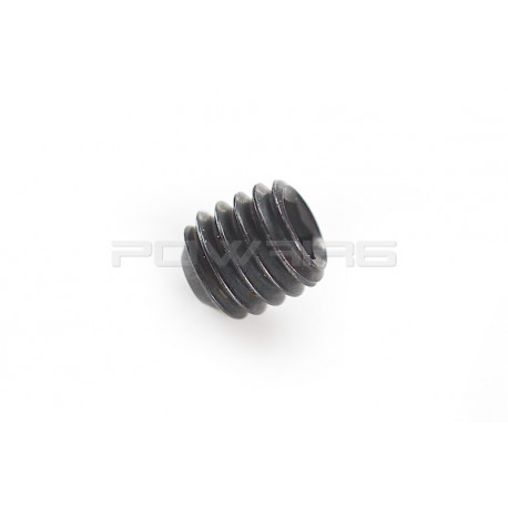 Systema Grip End Cap Screw for PTW - 