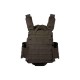 ASG Plate Carrier Strike system PC-01 - OD - 