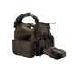 ASG Plate Carrier Strike system PC-01 - OD - 