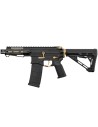 Zion Arms R15 Mod 1 6 inch - Black/gold