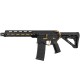 Zion Arms R15 Mod 1 - Noir / Or - 