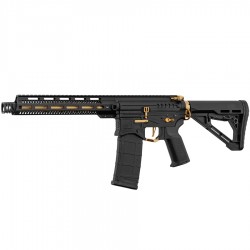 Zion Arms R15 Mod 1 - Black / Gold