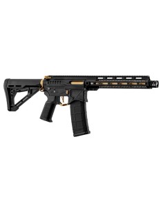 Zion Arms R15 Mod 1 - Noir / Or -  2
