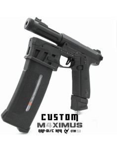 P6 Workshop AAP01 M4XIMUS Custom HPA - 