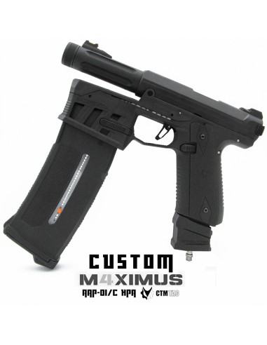 P6 Workshop AAP01 M4XIMUS Custom HPA - 