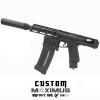 P6 Workshop AAP01 light PDW M4XIMUS Custom HPA