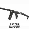 P6 Workshop AAP01 light PDW M4XIMUS Custom HPA