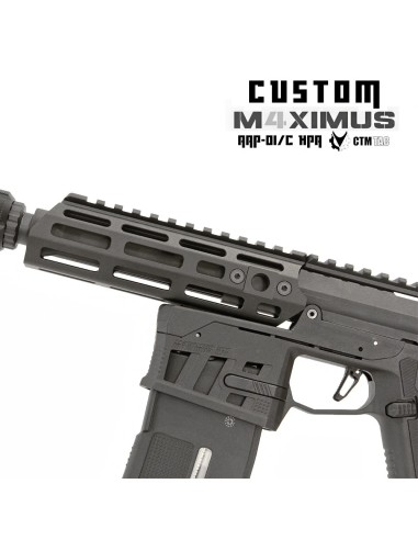 P6 Workshop AAP01 light PDW M4XIMUS Custom HPA - 