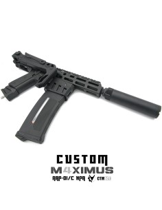 P6 Workshop AAP01 light PDW M4XIMUS Custom HPA - 