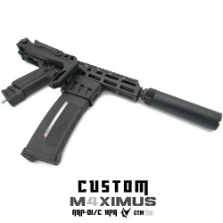 P6 Workshop AAP01 light PDW M4XIMUS Custom HPA