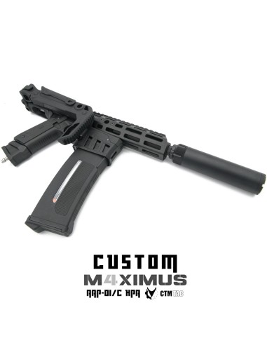 P6 Workshop AAP01 light PDW M4XIMUS Custom HPA - 