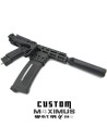 6Labs AAP01 light PDW M4XIMUS Custom HPA