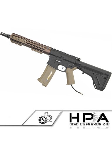 P6 Workshop M4 Noveske ICFU Duo tone custom HPA - 