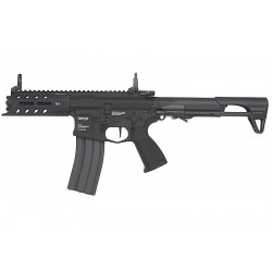 G&G ARP556 AEG - 