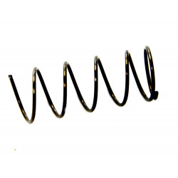 Systema nozzle spring for PTW - 