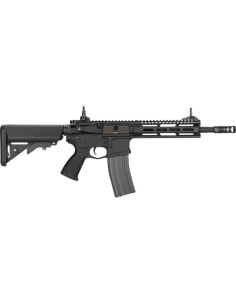 G&G CM16 RAIDER 2.0 AEG -  2