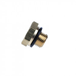 P6 plug screw 1/8 NPT with seal