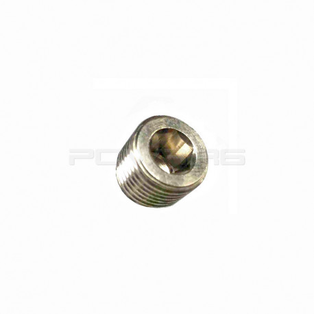 P6 plug screw 1/8 NPT no head