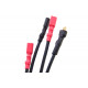 TITAN V2 ADVANCED Set - câblage avant - 
