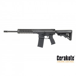 Dytac Warlord DMR AEG (Type B) - 