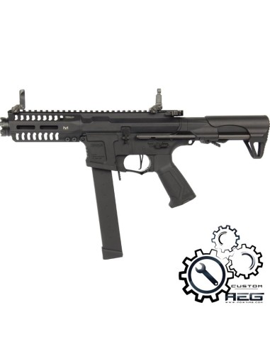 P6 Workshop G&G ARP9 series custom AEG - 