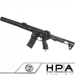 P6 ARP556 Silenced F2 Custom HPA - 