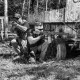 Firefield Rival Foregrip picatinny version - 