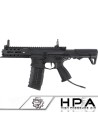 6Labs G&G ARP556 series Custom HPA