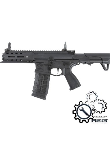 P6 G&G ARP556 series custom AEG - 