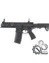 6Labs G&G ARP556 series custom AEG