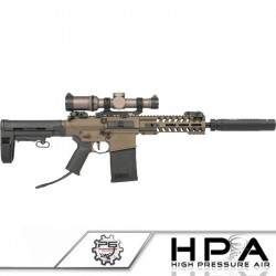 P6 ARES AR308 series custom HPA