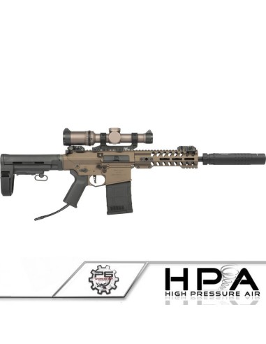 P6 ARES AR308 series custom HPA - 