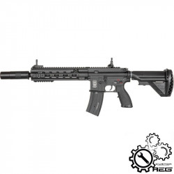 P6 SA-H02-03-05-06-09 series custom AEG - 