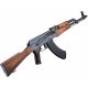 BOLT AKM Blowback BRSS - 