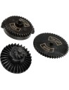 SHS 100:200 helical torque CNC gearset