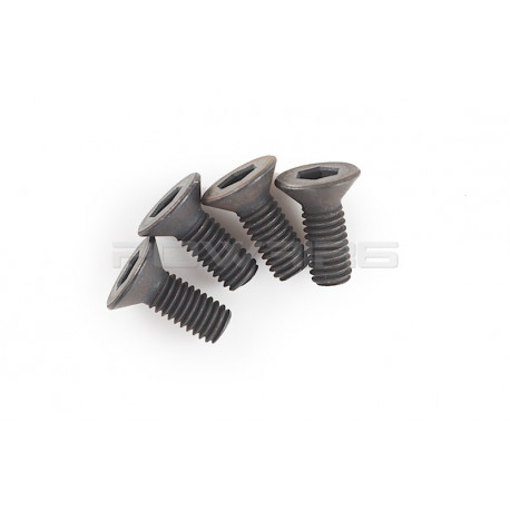 Systema Grip End Screw ( Set of 4 ) for PTW - 