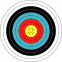 Shooting target